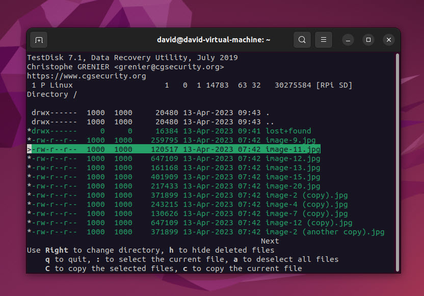 testdisk rpi select files