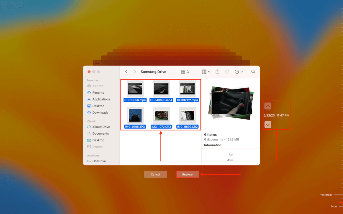 file selection window in Time Machine