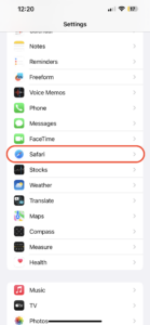 safari in iPhone settings