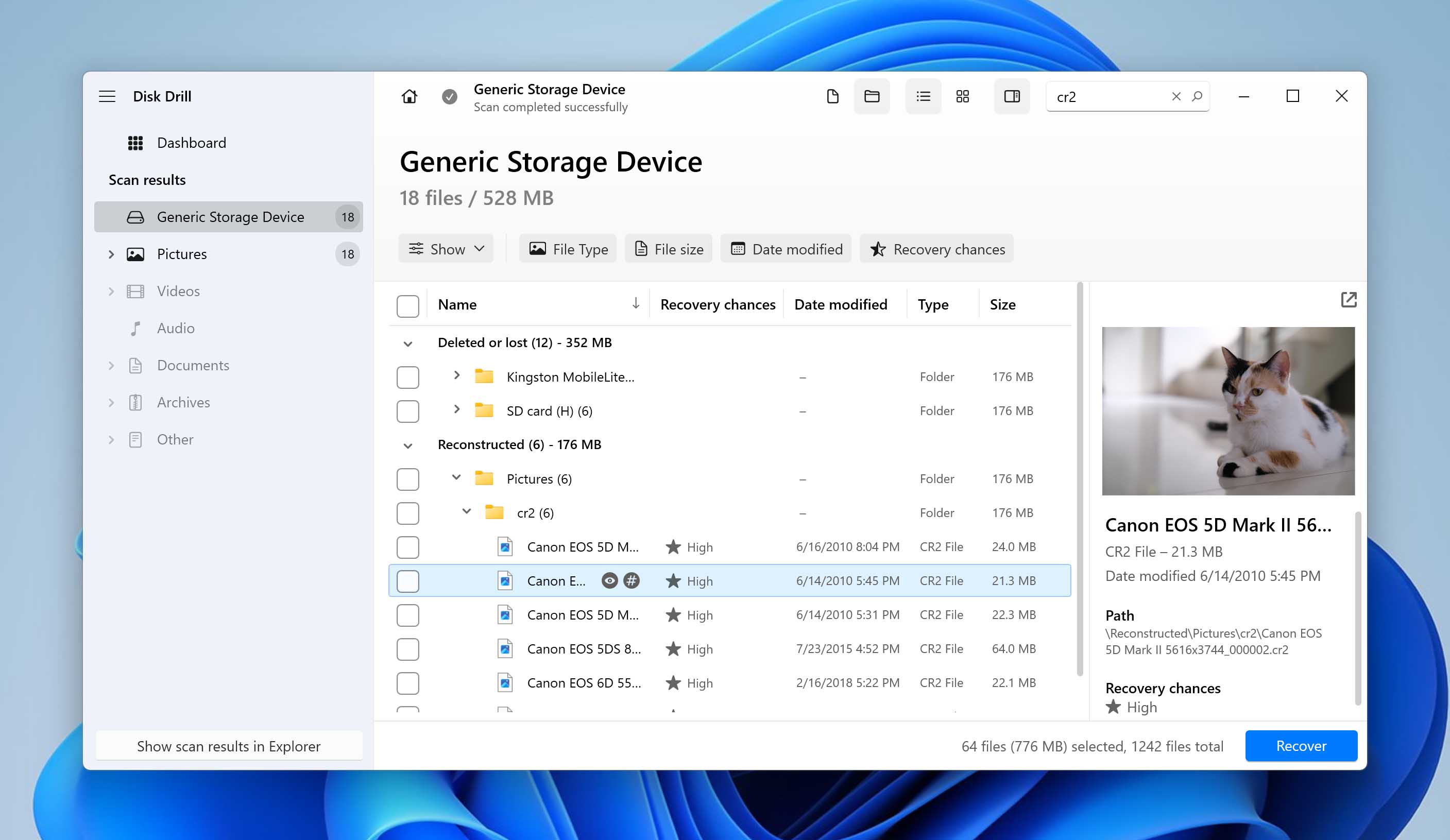 Preview window in disk drill