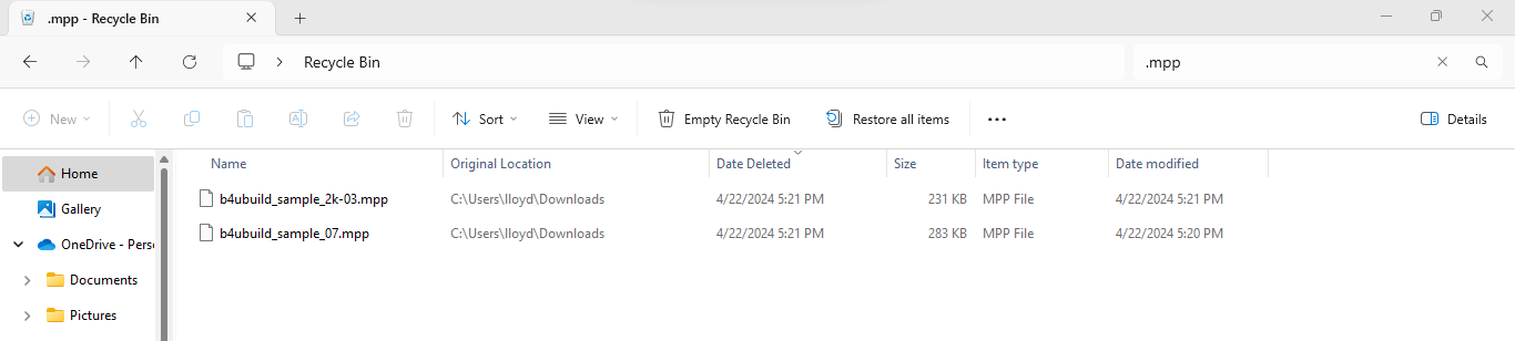 Recycle Bin Search