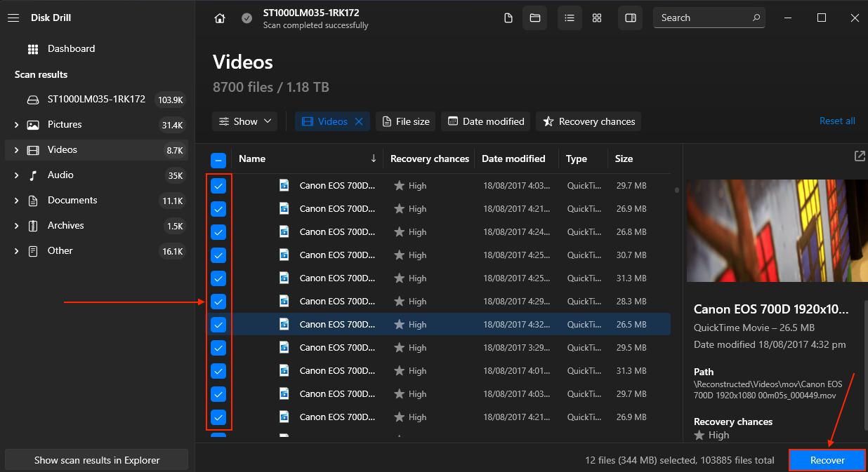 Disk Drill file selection boxes and recover button