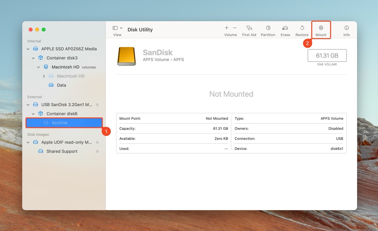 Screenshot of Disk Utility in macOS showing an external SanDisk SSD selected but not mounted, with the 'Mount' button highlighted.