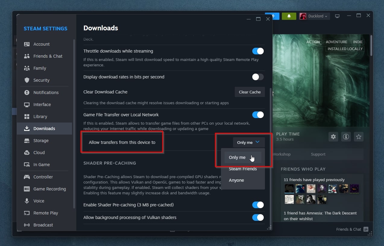 Steam Desktop Client Allow Transfers From This Device To Only Me