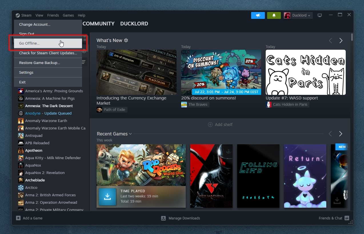 Steam Desktop Client Go Offline