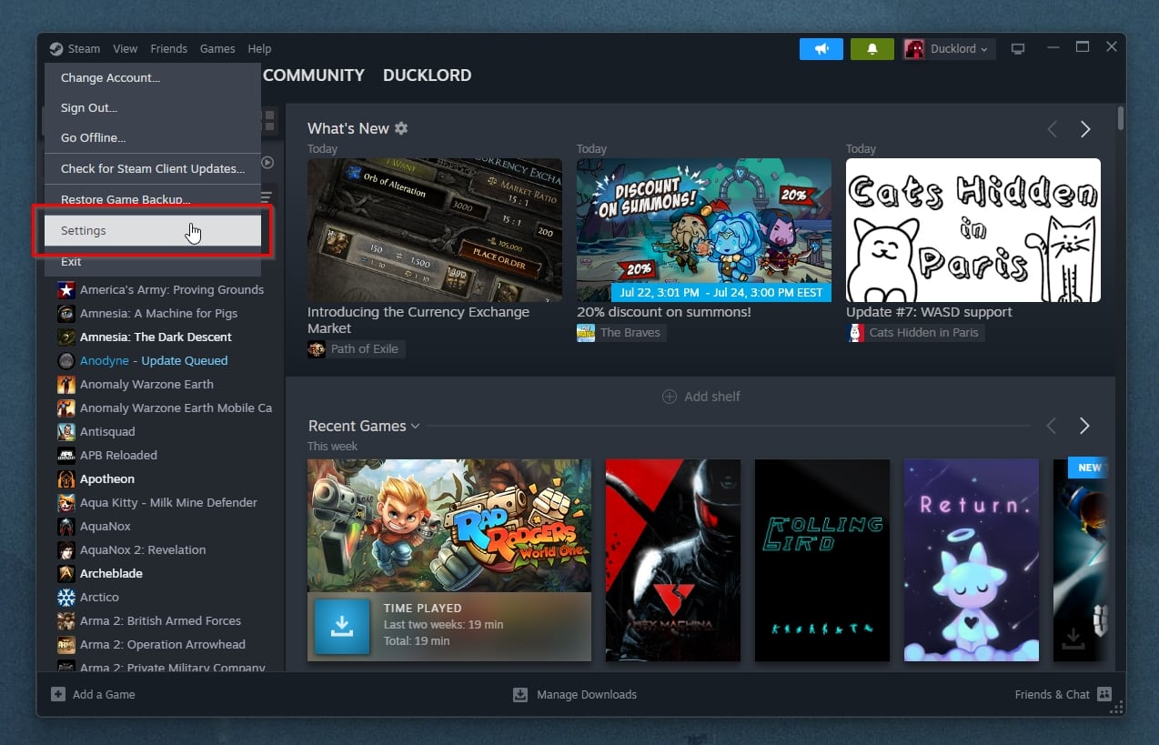 Steam Desktop Client Settings