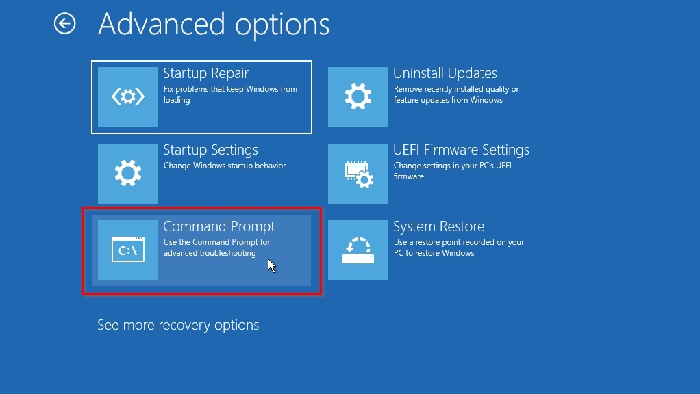 Windows RE Command Prompt