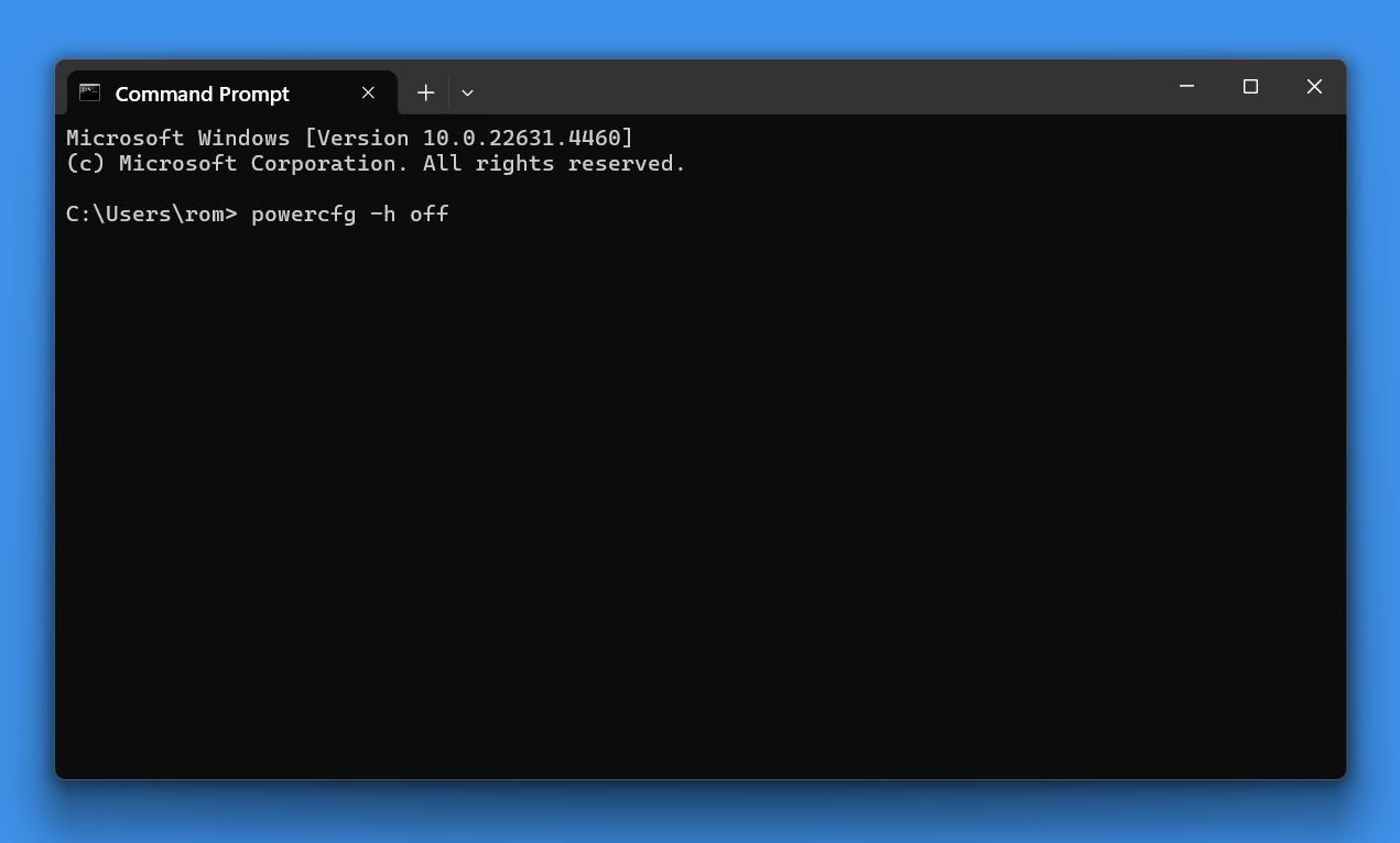 Type powercfg -h off