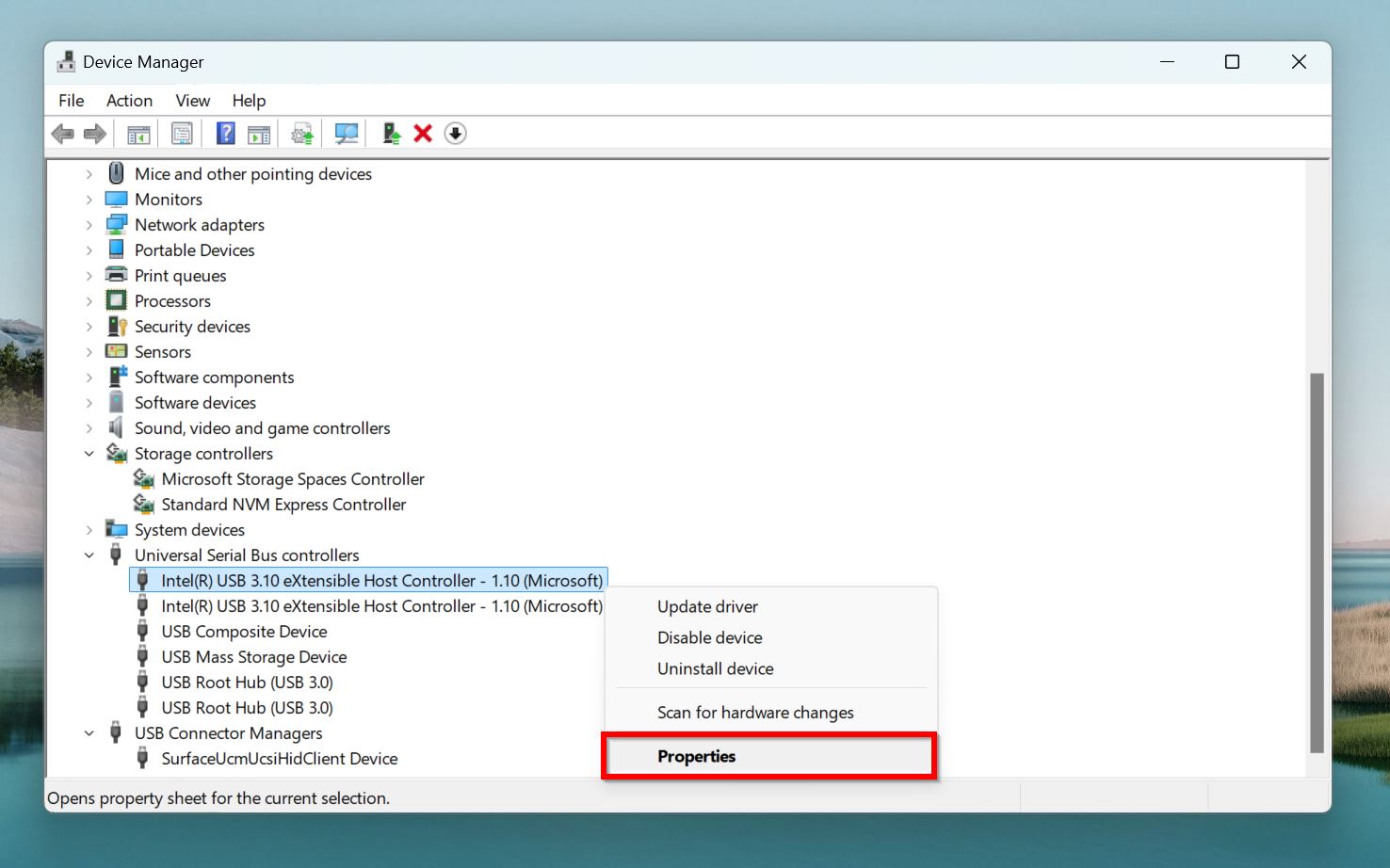 USB Controller properties in Device Manager